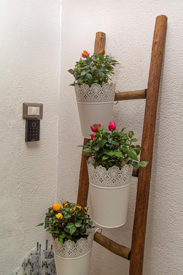 Il Palchetto B&B Di Charme E Design パレルモ エクステリア 写真